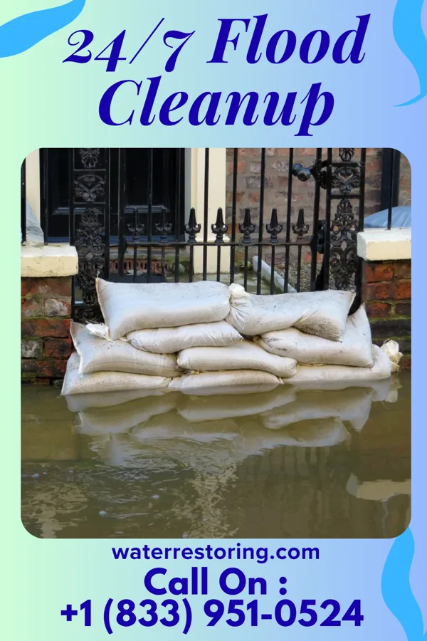 24/7 Flood Cleanup in Naylor, MO